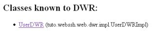 Figure7 : Interface du debugger DWR